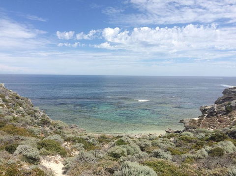 Rottnest Island With Bike Hire From Perth Or Fremantle - Accommodation Kalgoorlie 2