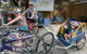 Rottnest Island With Bike Hire From Perth Or Fremantle - thumb 3