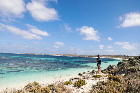 Rottnest Island With Bike Hire From Perth Or Fremantle - Accommodation Kalgoorlie 31