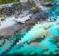 Rottnest Island Round-Trip Ferry from Perth or Fremantle - Accommodation Kalgoorlie