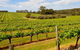 Full-Day Benedictine New Norcia & Swan Valley Winery - thumb 1