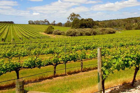 Full-Day Benedictine New Norcia & Swan Valley Winery - Accommodation Kalgoorlie 1