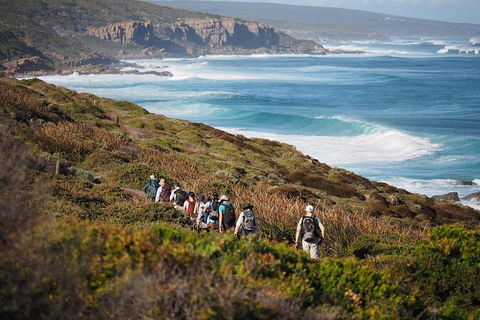 8-Day Cape To Cape Track Guided Walking Tour From Perth - Accommodation Kalgoorlie 0