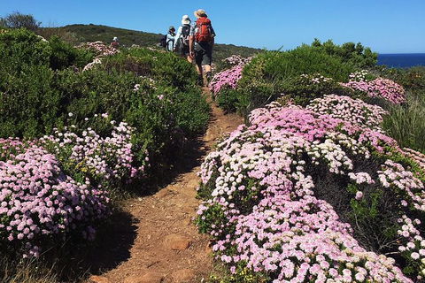8-Day Cape To Cape Track Guided Walking Tour From Perth - Accommodation Kalgoorlie 4