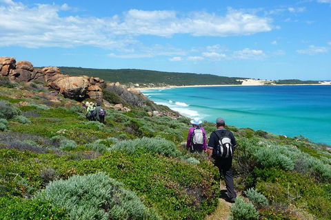 8-Day Cape To Cape Track Guided Walking Tour From Perth - Accommodation Kalgoorlie 7