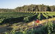 2-Day Margaret River Wine Experience From Perth - thumb 1