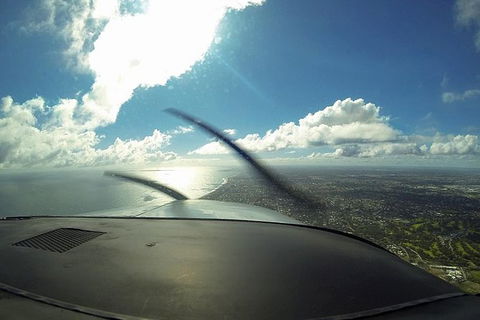 Bunbury Dolphins Discovery Tour - Fly From Perth - Accommodation Kalgoorlie 4