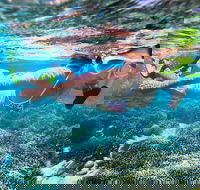 Abrolhos Islands Scenic Flight  Snorkel Adventure from Perth - Accommodation Kalgoorlie