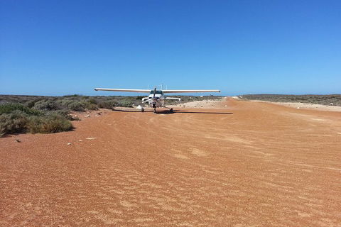 Abrolhos Islands Scenic Flight & Snorkel Adventure From Perth - Accommodation Kalgoorlie 6