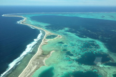 Abrolhos Islands Scenic Flight & Snorkel Adventure From Perth - Accommodation Kalgoorlie 5