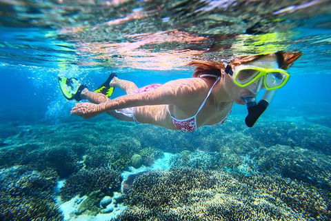 Abrolhos Islands Scenic Flight & Snorkel Adventure From Perth - Accommodation Kalgoorlie 2