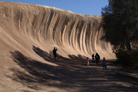Wave Rock, Pinnacles And Rottnest One Day Aeroplane Tour - Accommodation Kalgoorlie 0