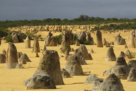 Wave Rock, Pinnacles And Rottnest One Day Aeroplane Tour - Accommodation Kalgoorlie 4