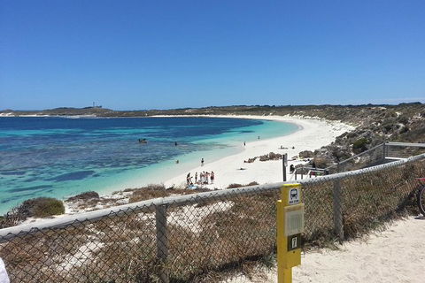 Wave Rock, Pinnacles And Rottnest One Day Aeroplane Tour - Accommodation Kalgoorlie 7