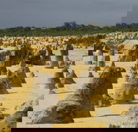 Pinnacles Desert Scenic Flight and Ground Tour - Accommodation Kalgoorlie