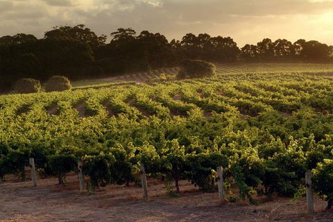 Flight To Leeuwin Winery For Lunch - Accommodation Kalgoorlie 5