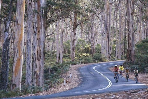 Margaret River And Geographe Bay Region Day Trip From Perth - Accommodation Kalgoorlie 1