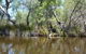 Kayak Tour On The Canning River - thumb 4