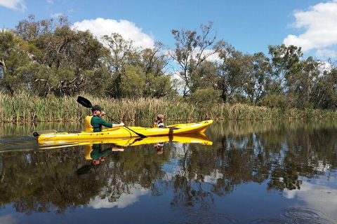 Kayak Tour On The Canning River - Accommodation Kalgoorlie 2