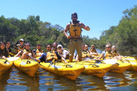 Kayak Tour On The Canning River - Accommodation Kalgoorlie 3