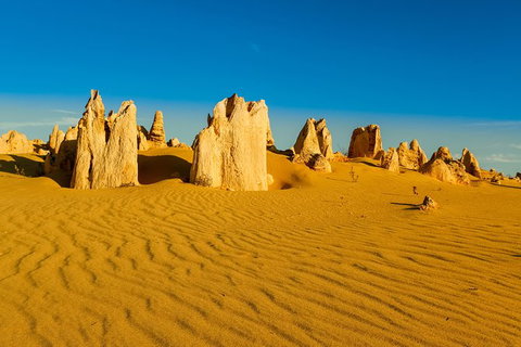 Pinnacles Desert Tour - Accommodation Kalgoorlie 0
