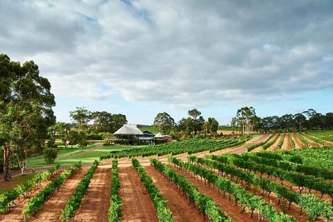 Vasse Felix Winery Tour And Tasting - Accommodation Kalgoorlie 2