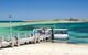 Penguin Island And Caversham Wildlife Park Day Trip From Perth - thumb 0