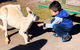 Perth Kids Explorer (Private) Day Tour - thumb 8