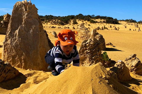Perth Kids Explorer (Private) Day Tour - Accommodation Kalgoorlie 3