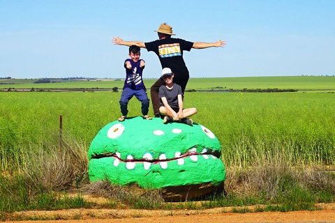 Perth Kids Explorer (Private) Day Tour - Accommodation Kalgoorlie 6