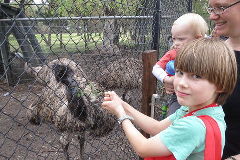 Swan Valley Half-Day Food Tour And Wine Trail From Perth - Accommodation Kalgoorlie 6