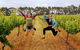 3 Day Margaret River & Beyond Tour - thumb 0