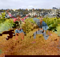 3 Day Margaret River  Beyond Tour - Accommodation Kalgoorlie