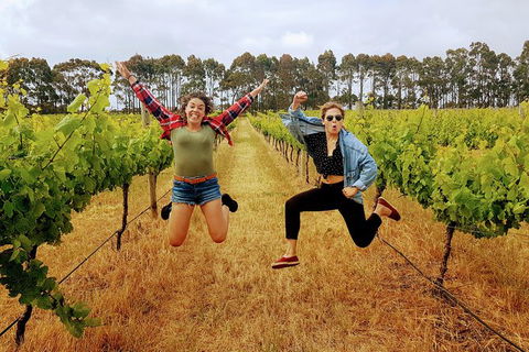 3 Day Margaret River & Beyond Tour - Accommodation Kalgoorlie 0