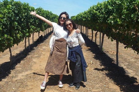 VIP Swan Valley Wine Tour - Premium Small Group Wine & Gourmet Experience - Accommodation Kalgoorlie 3