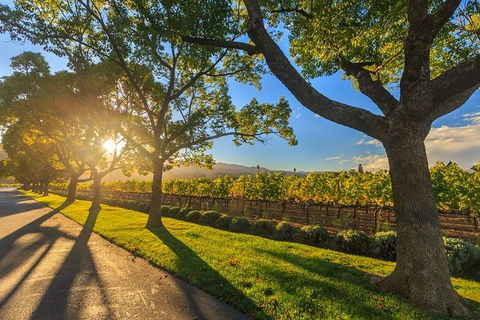 VIP Swan Valley Wine Tour - Premium Small Group Wine & Gourmet Experience - Accommodation Kalgoorlie 5