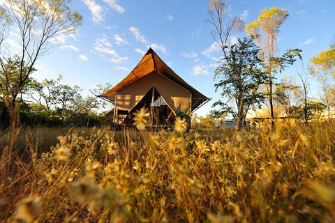 APT Kimberley Wilderness Adventures Purnululu (Bungle Bungle) 4WD Experience - Accommodation Kalgoorlie 10