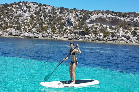 Rottnest Island Sailing Charter - Accommodation Kalgoorlie 1
