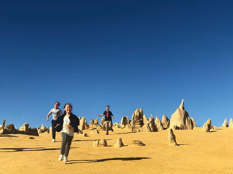 Pinnacles, Lancelin, Yanchep National Park Day Tour (Fish & Chip Lunch) - Accommodation Kalgoorlie 0