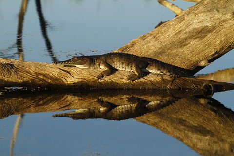 Lake Argyle Best Of Lake Argyle Cruise Departing Kununurra - Accommodation Kalgoorlie 1