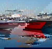Perth Deep Sea Fishing Trip - Accommodation Kalgoorlie