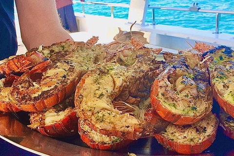 Rottnest Island Day Tour With Wild Seafood Banquet Cruise - Accommodation Kalgoorlie 8