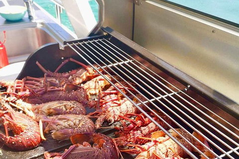 Rottnest Island Day Tour With Wild Seafood Banquet Cruise - Accommodation Kalgoorlie 16