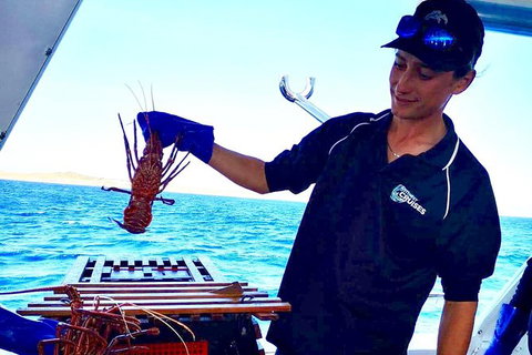 Rottnest Island Day Tour With Wild Seafood Banquet Cruise - Accommodation Kalgoorlie 7