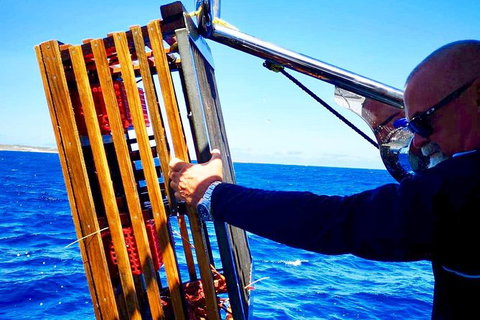 Rottnest Island Day Tour With Wild Seafood Banquet Cruise - Accommodation Kalgoorlie 9