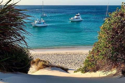 Rottnest Island Day Tour With Wild Seafood Banquet Cruise - Accommodation Kalgoorlie 6