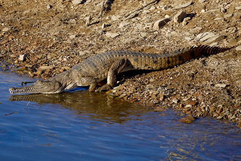 Lake Argyle Best Of Lake Argyle Cruise Departing Lake Argyle - Accommodation Kalgoorlie 8