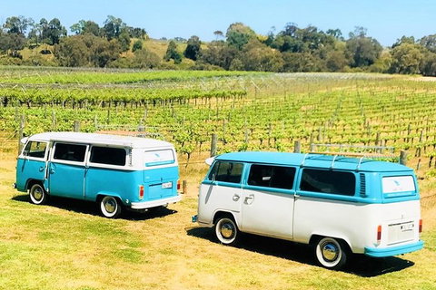 VW Kombi Wine Tour In The Swan Valley - Accommodation Kalgoorlie 6