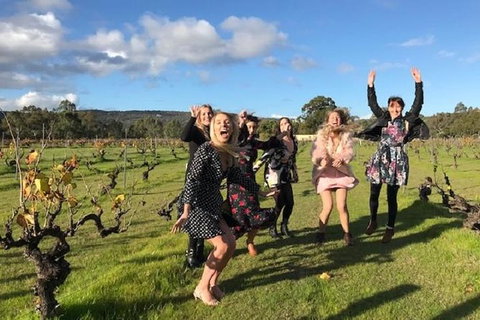 VW Kombi Food, Wine And More Tour (bring The Kids!) - Accommodation Kalgoorlie 3