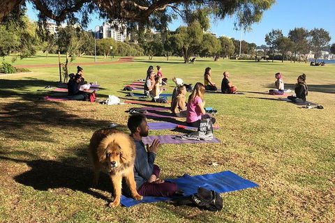 Yoga In The Park - Accommodation Kalgoorlie 6